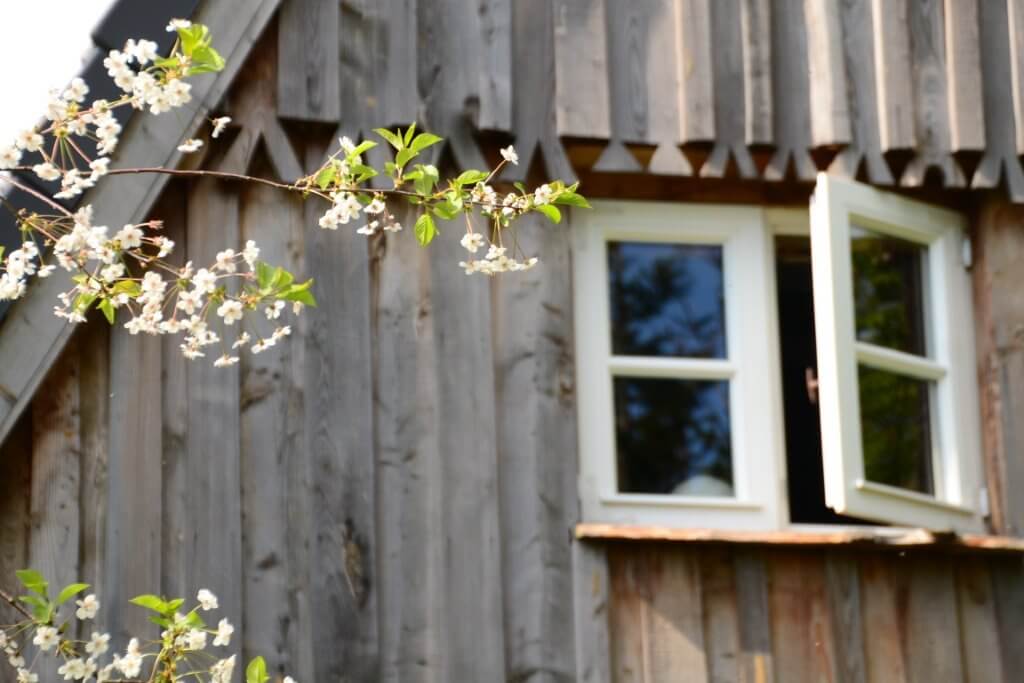 Nature holiday at the Baltic Sea